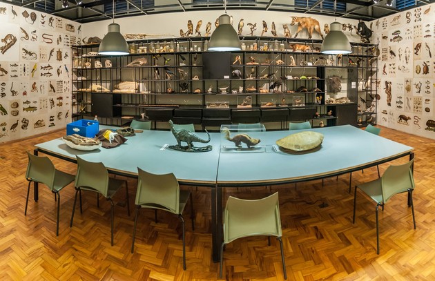 Museu de Zoologia
