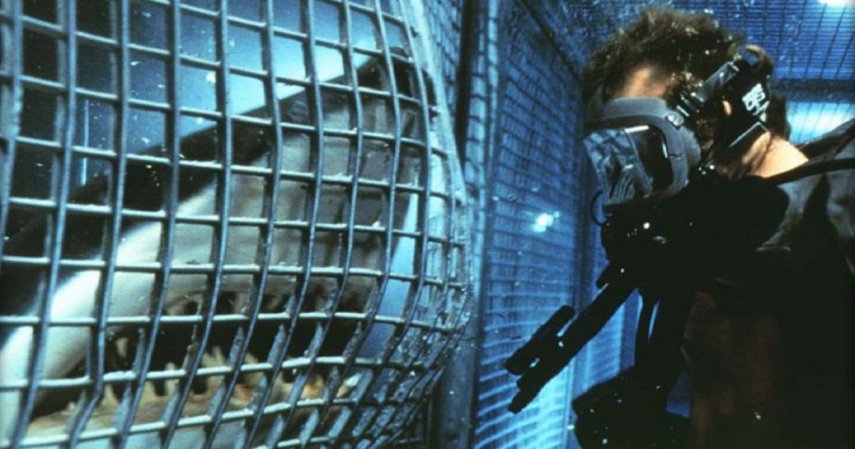 Os 21 melhores filmes de tubarão para levar muito susto em 2023 Maiores e Melhores Os 21 melhores filmes de tubarão para levar muito susto em 2023 Maiores e Melhores
