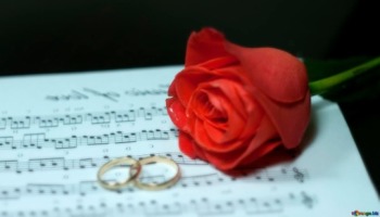 Recordar é viver: as 27 melhores músicas de amor da MPB do passado