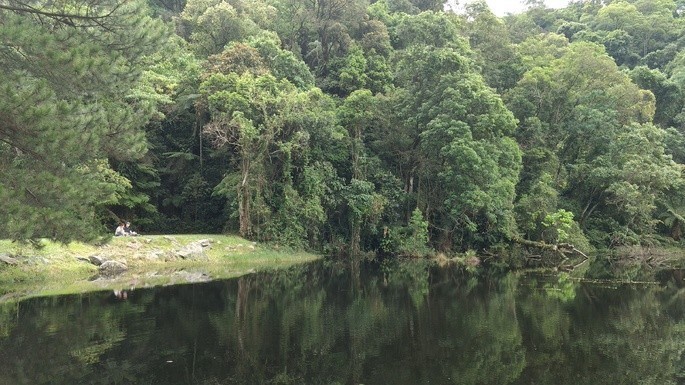 Parque Estadual da Cantareira