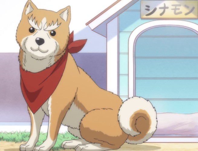 Oda Cinnamon Nobunaga