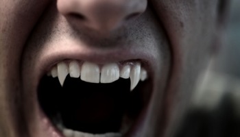 As 18 melhores séries de vampiros para se sentir em plena Transilvânia