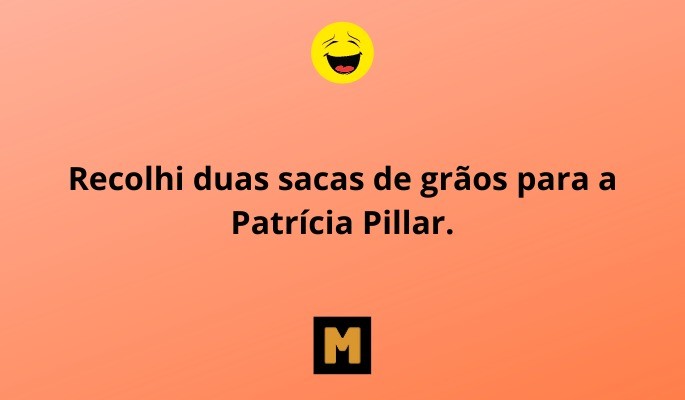 trocadilho Patrícia Pillar